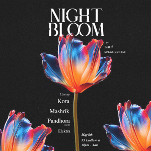NIGHT BLOOM