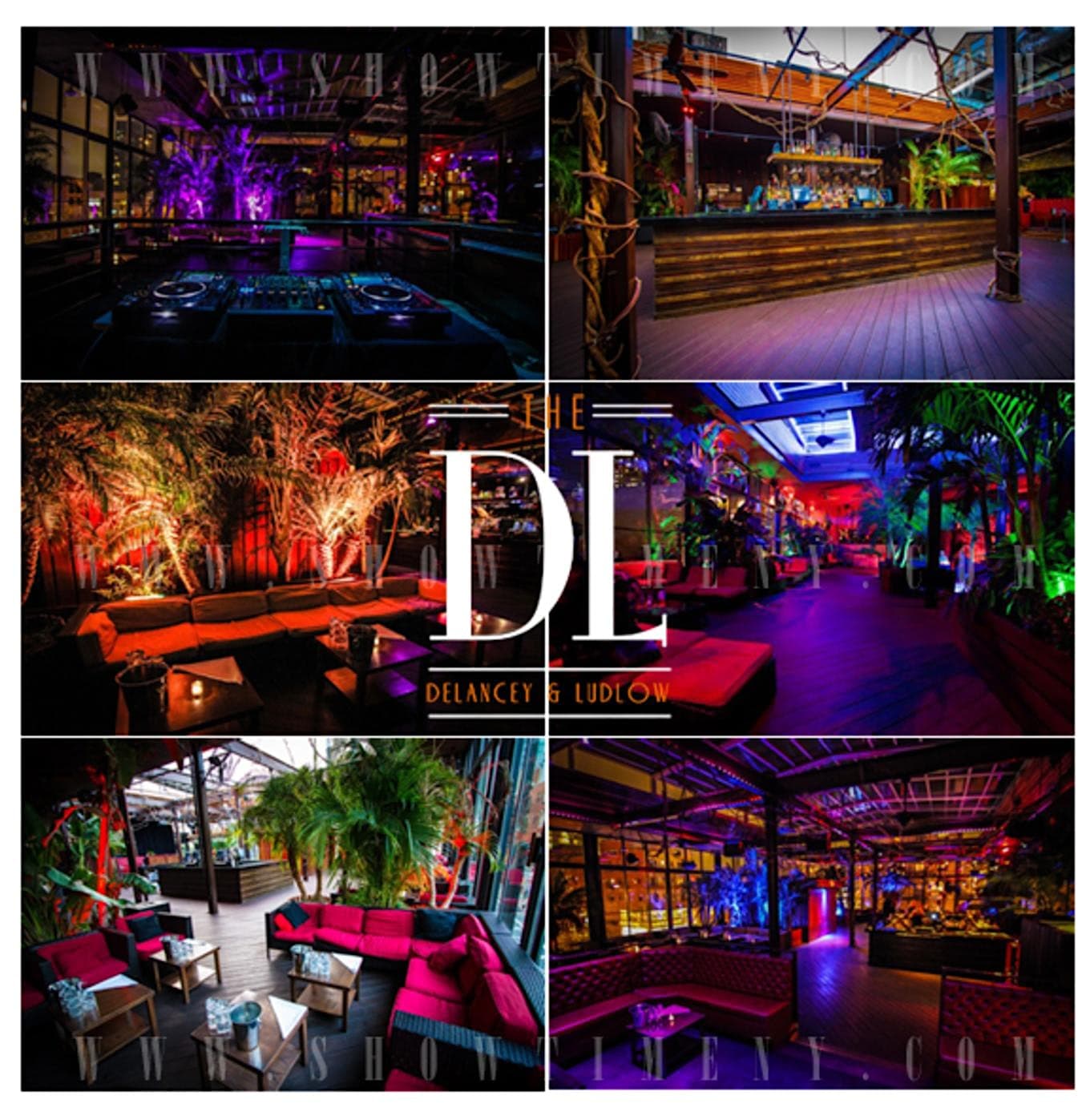 Tara's Birthday: Friday @ The DL 8/11