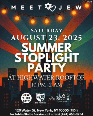 Summer Stoplight Party - NYC